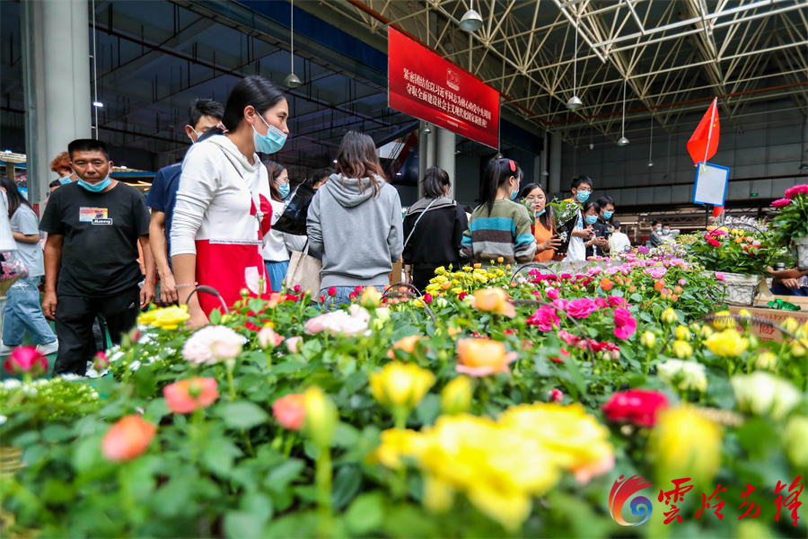 主要包括昆明斗南国际花卉产业园区,昆明国际花卉拍卖交易中心